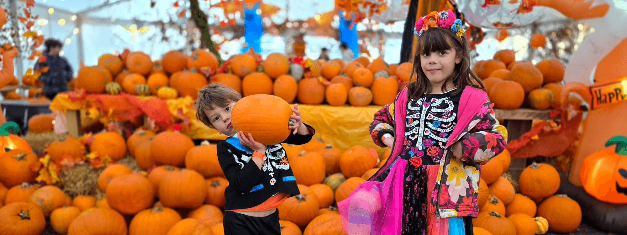 Give your recycling a life after the bin. Choose the right one this Halloween!